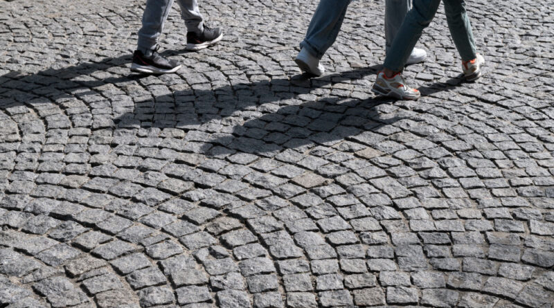 pavimentacao com paralelepipedo 2